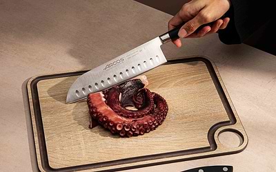 Techniques and Types of Cutting in the Kitchen