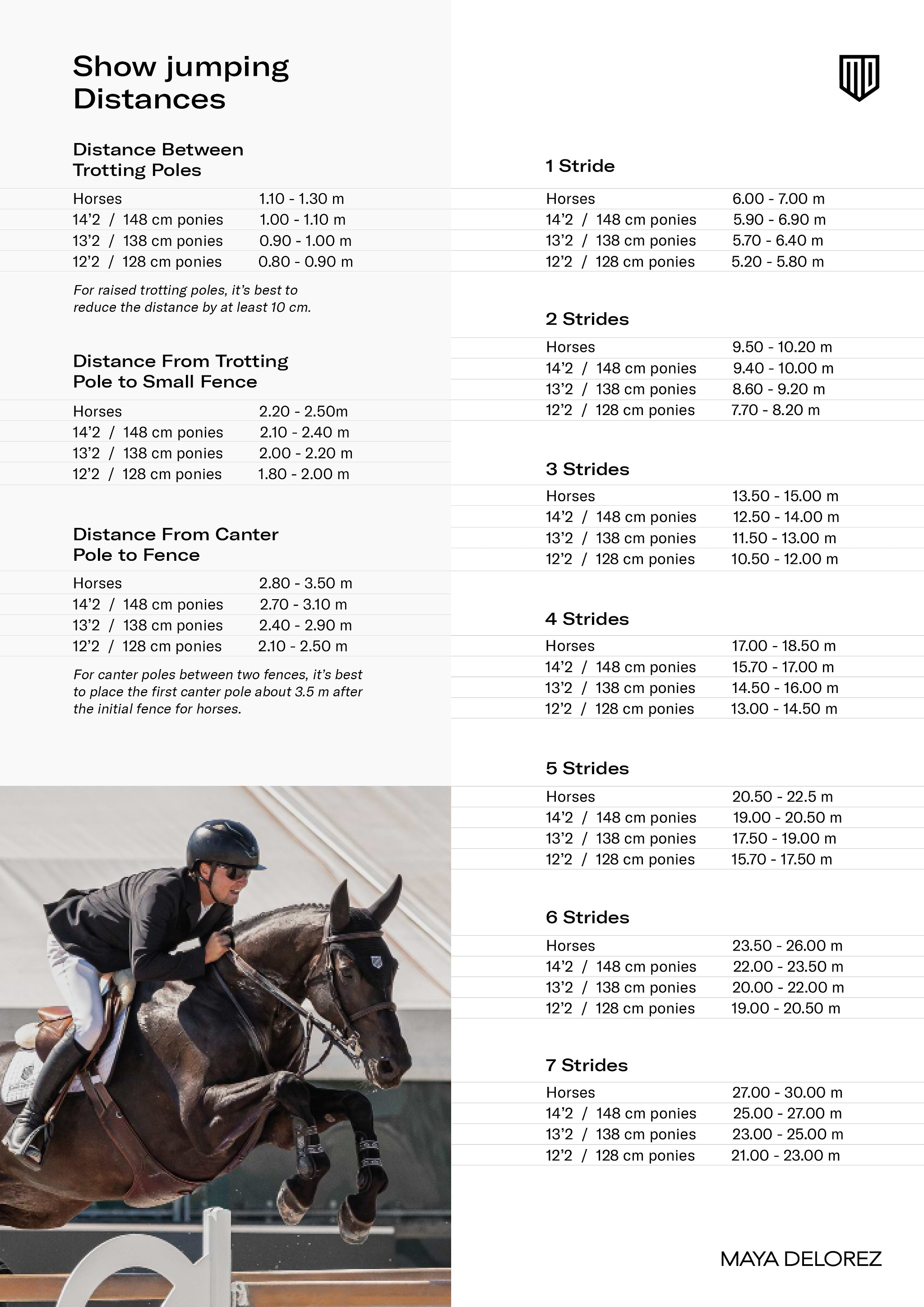 Horses & Ponies - 00 Horses & Ponies - 00