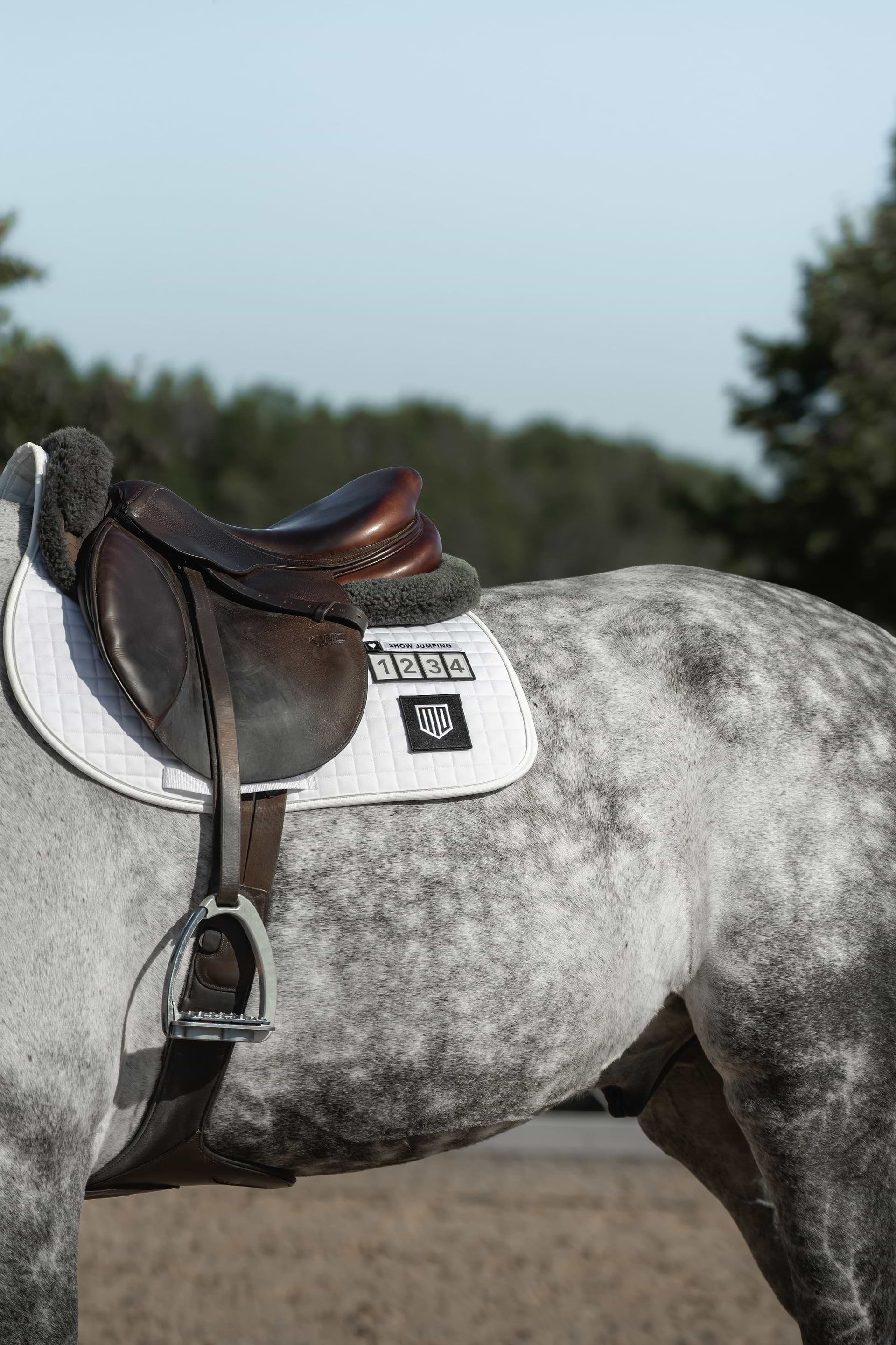 Learn the Parts of the Saddle GUIDE Maya Delorez
