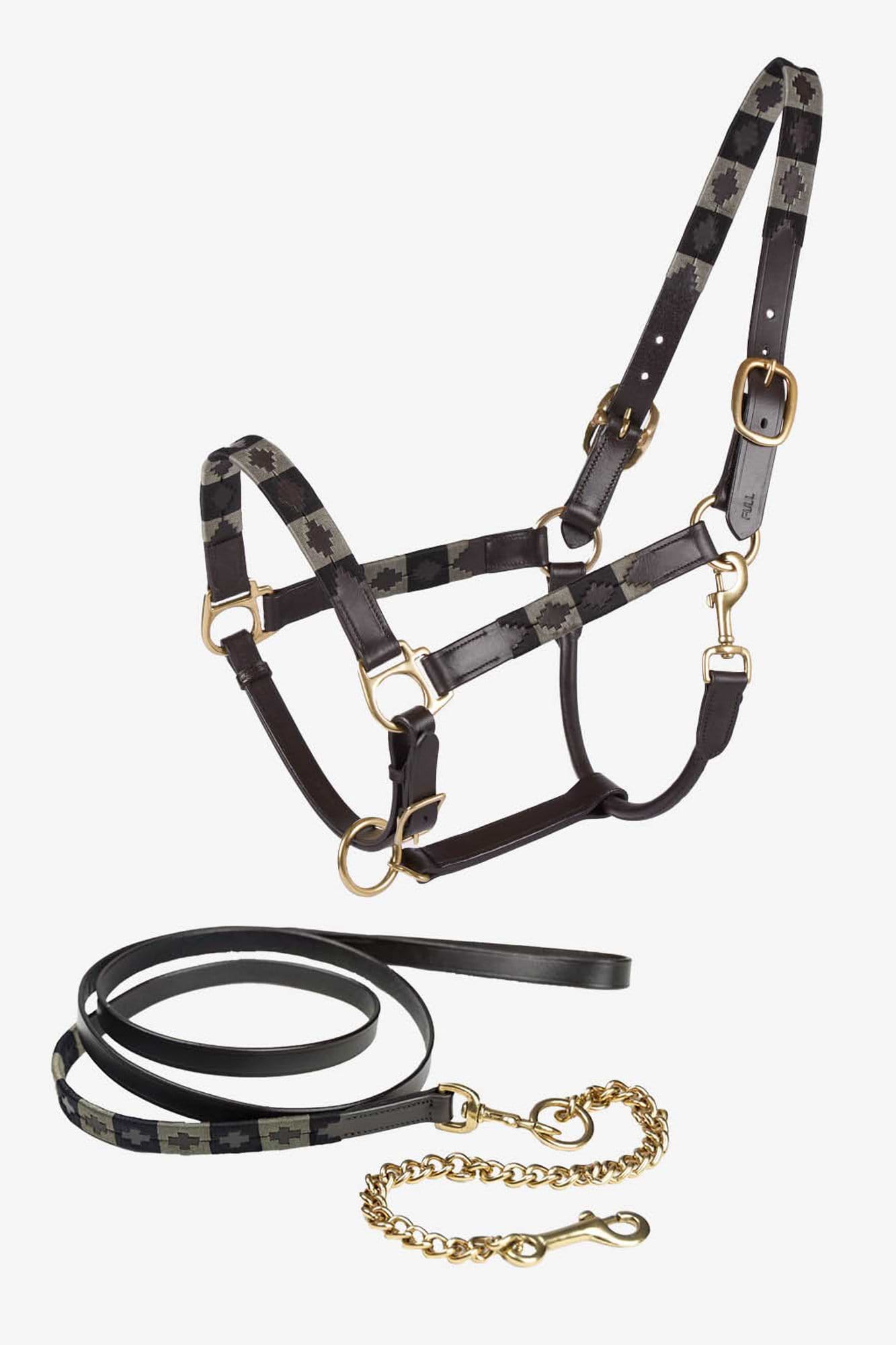 2-Pack Halter & Lead Rope