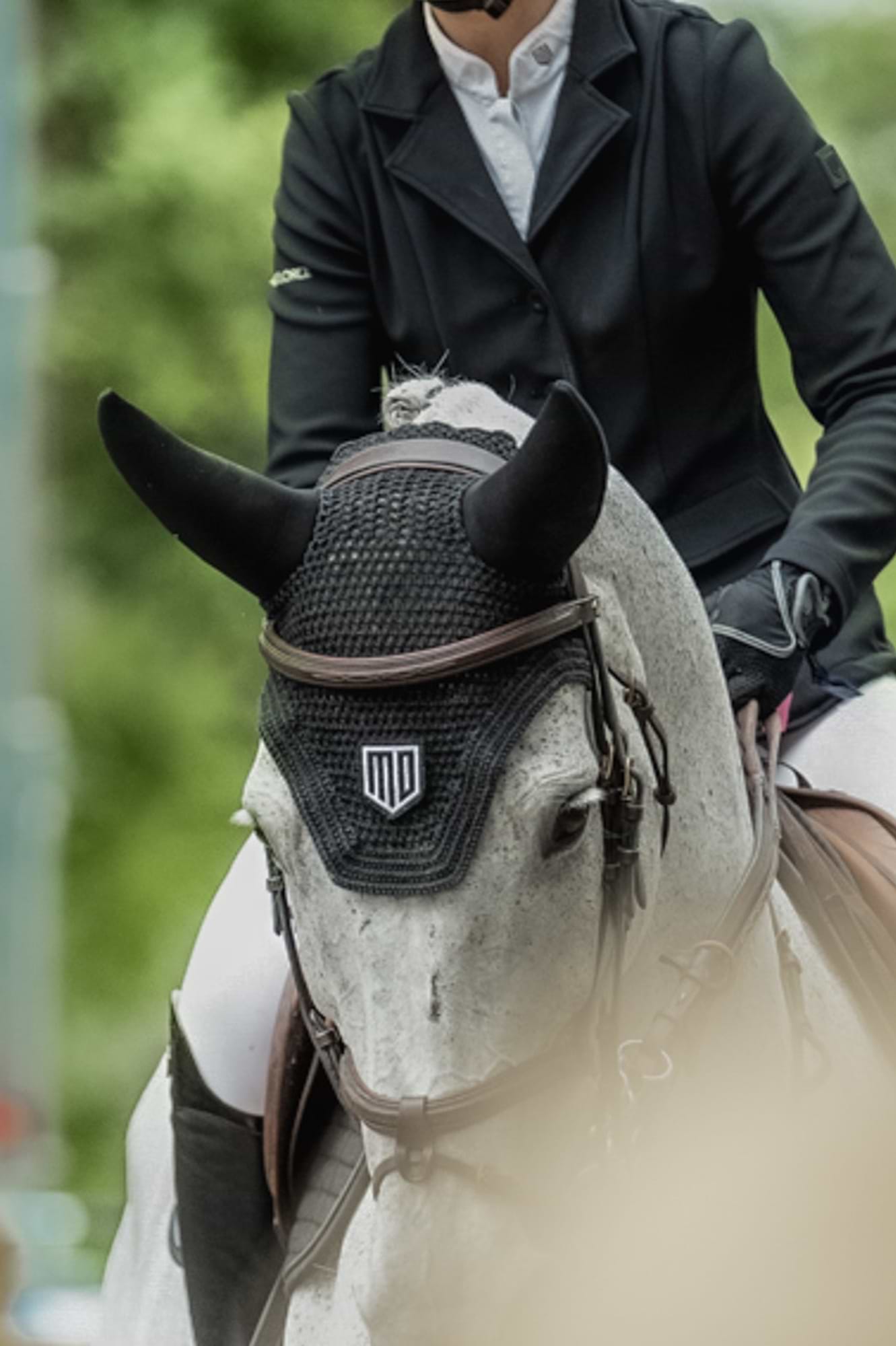 Ear Bonnet