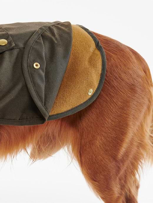 Barbour dog coat medium online