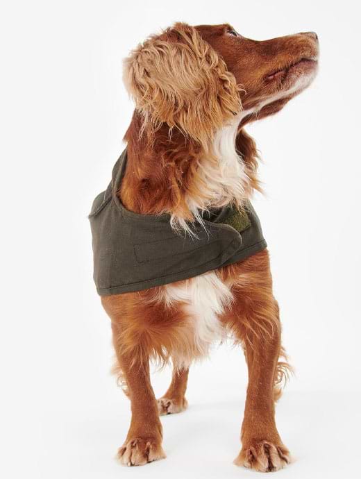 Barbour dog coat australia new arrivals