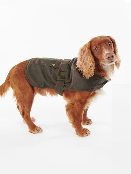 Berghaus dog coat deals