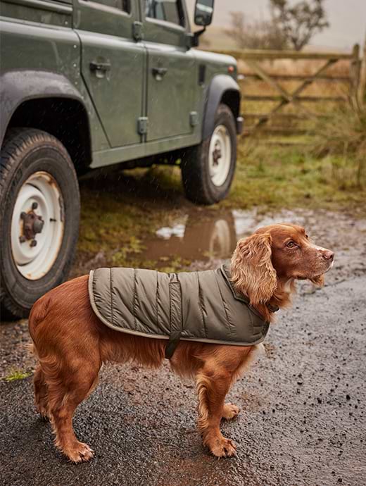 Barbour Baffle Quilted Dog Coat Dark Olive