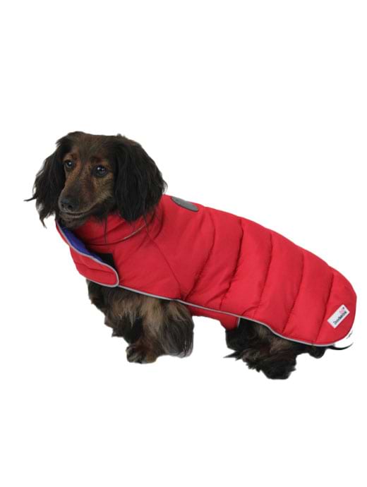 Berghaus dog coat deals
