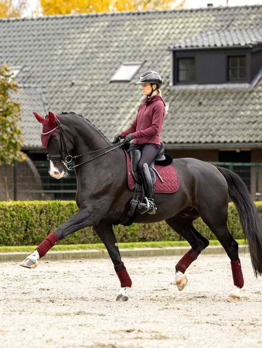 Burgundy dressage coat hot sale