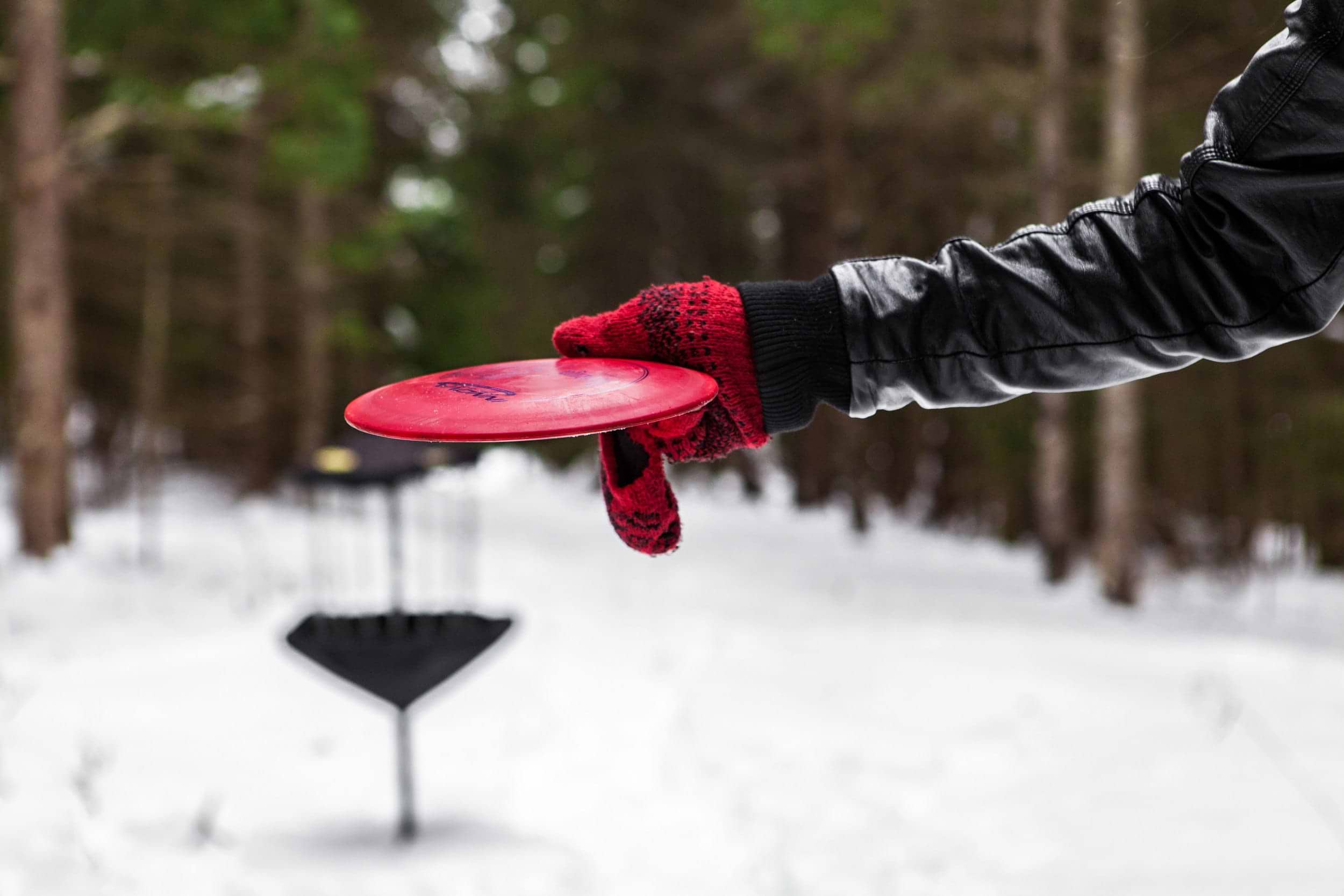 Winter disc golf. Player putting a disc in the snow.
