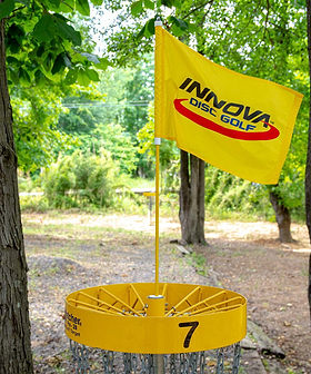 DISCatcher Pro Flag Set from Disc Golf United
