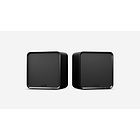Eversolo SE100 Højttaler Black - Par