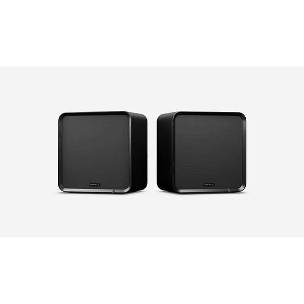 Eversolo SE100 Højttaler Black - Par