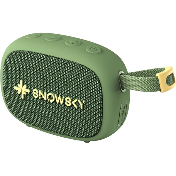 FiiO Snowsky Anywhere