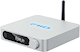 FiiO SR11 Netværksstreamer Sølv - B-Stock
