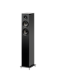 Pro-ject Speaker box 10 E Carbon Par Sort Satin