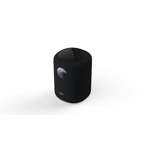 Wiim Sound Black