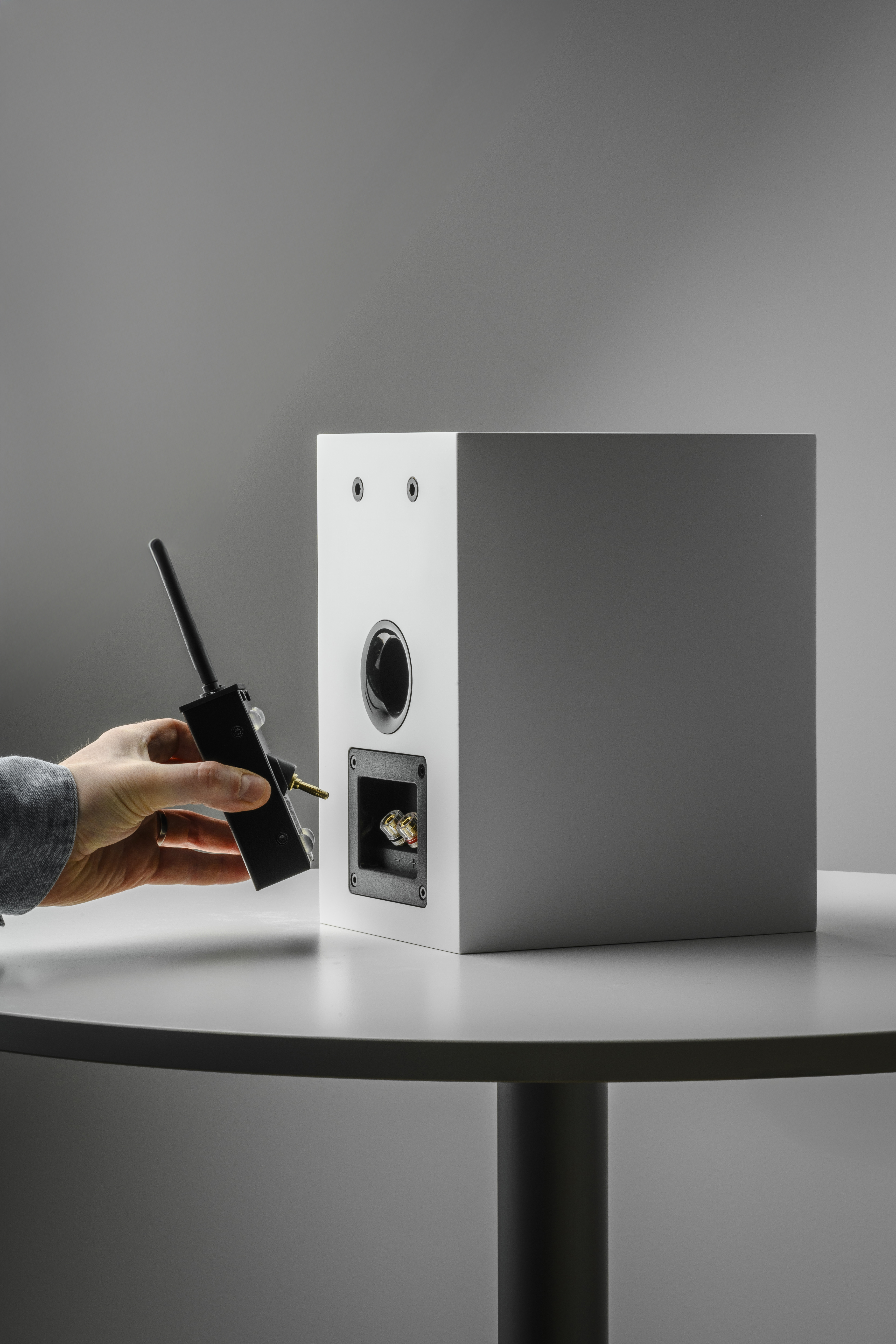 Wireless Box E monteret på højttaler