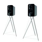 Q Acoustics Concept 300 Sort/Rosewood