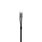 QED Performance Audio RCA Stereo