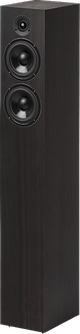 Pro-Ject Speaker Box 10 S2 EUCALYPTUS - PAR