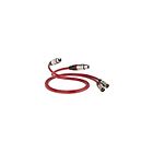 QED Reference analogue XLR 40