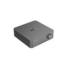 WiiM Vibelink Amp