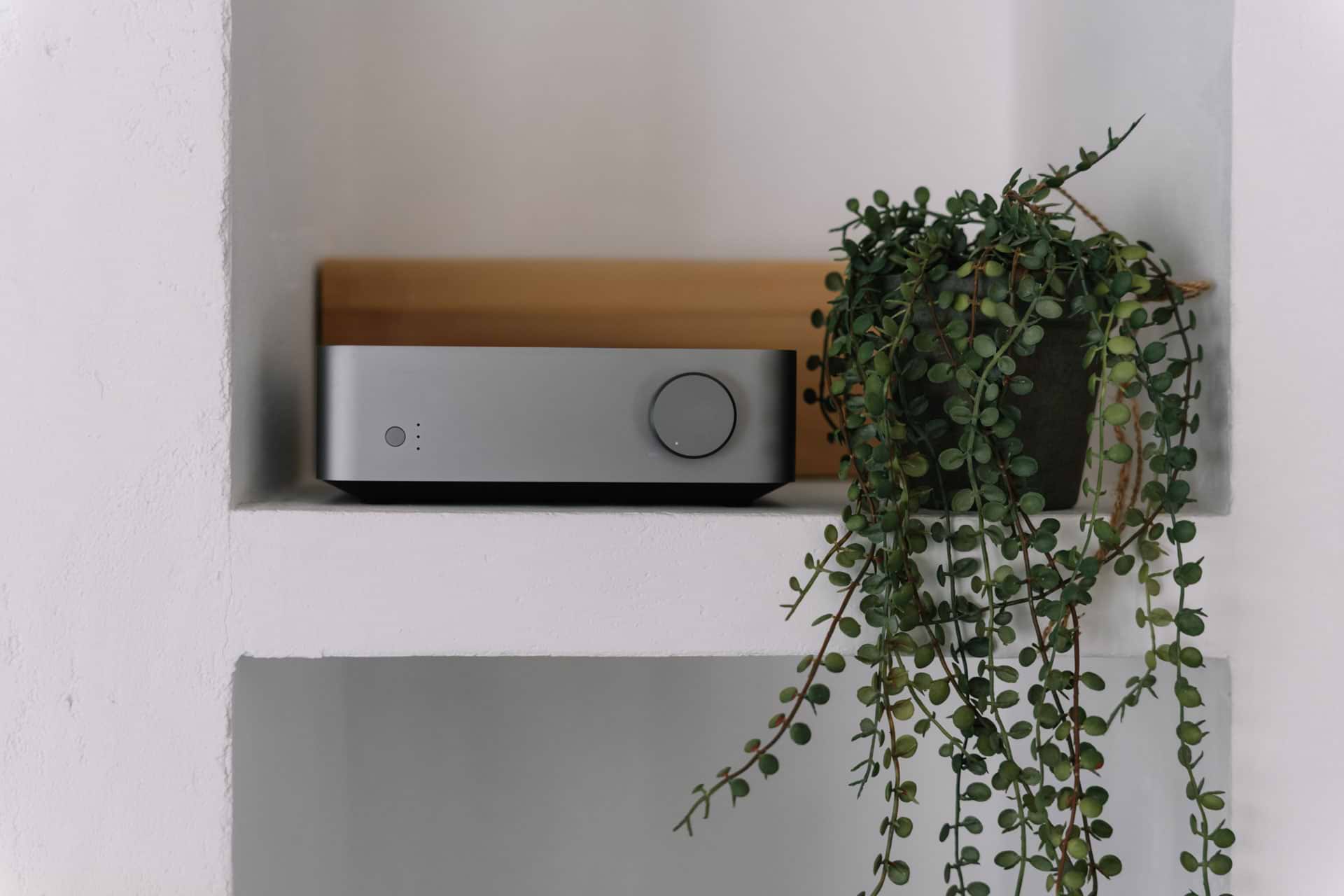 WIIM_VIBELINK_AMP_03