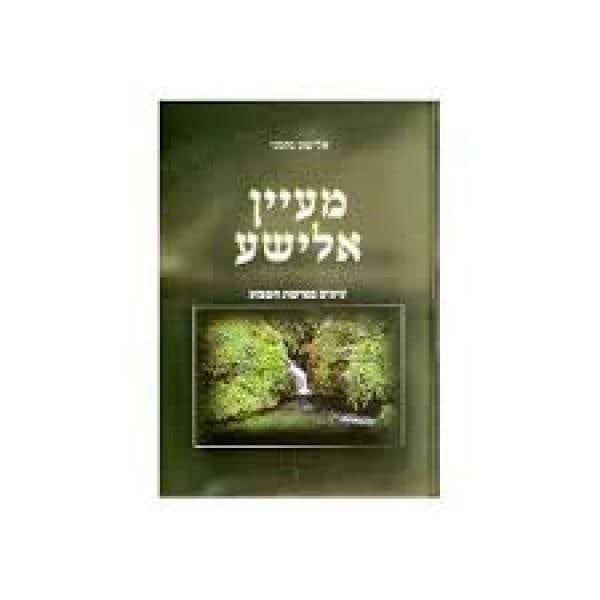 מעיין אלישע