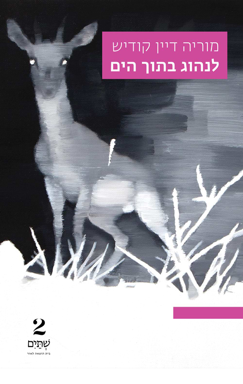 לנהוג בתוך הים