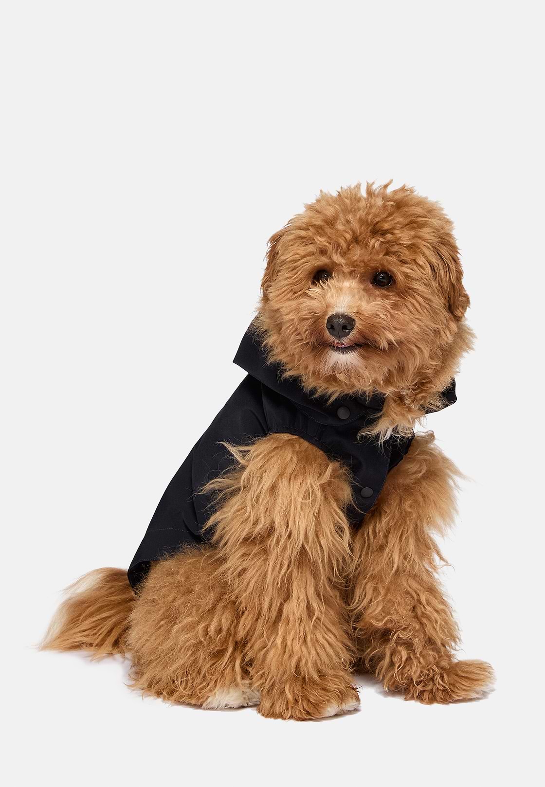 Technical Goose Down Raincoat for Dogs Boggi