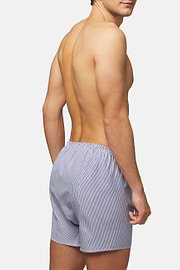 Blau Gestreifte Boxershorts Aus Baumwolle, Streifen blau, hi-res