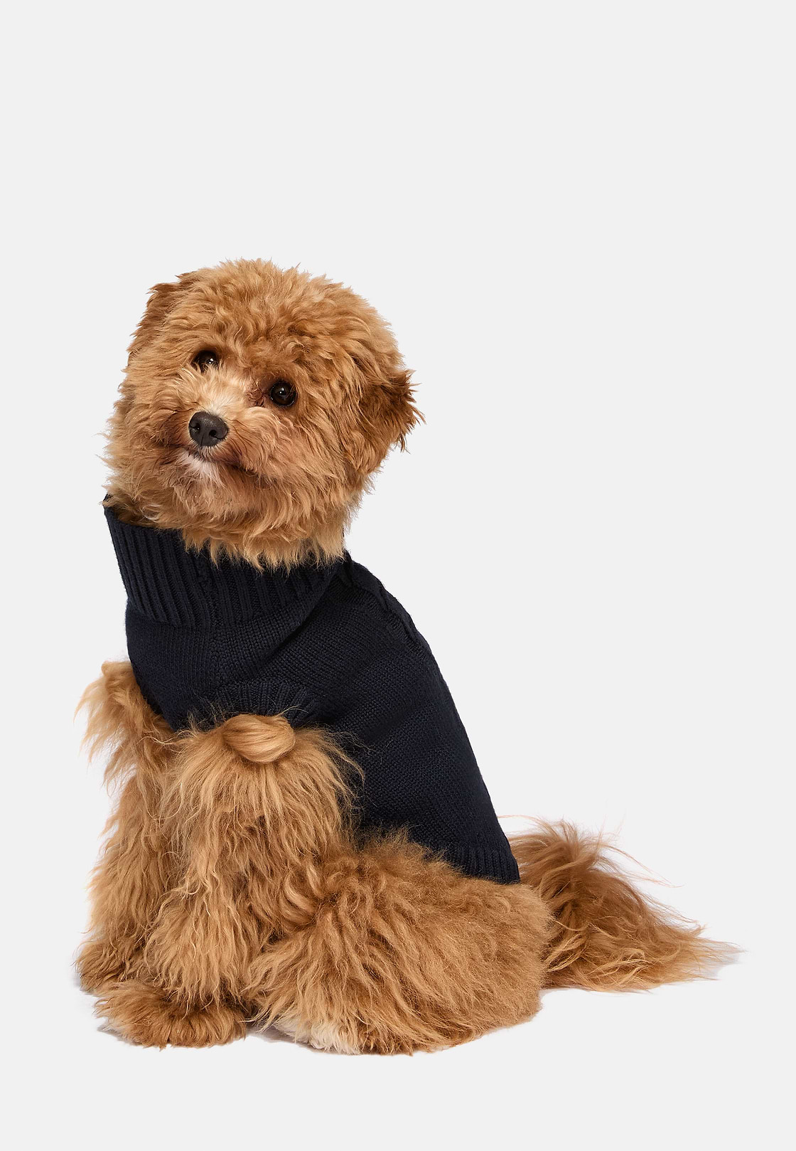 Navy Polo Neck Jumper in Pure Merino Wool for Dogs, Navy blue, hi-res