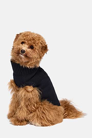 Navy Polo Neck Jumper in Pure Merino Wool for Dogs, Navy blue, hi-res