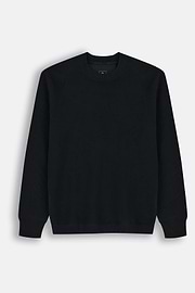 Crew Neck Jumper in Merino Wool Blend WOOLTECH, Black, thumb, 5