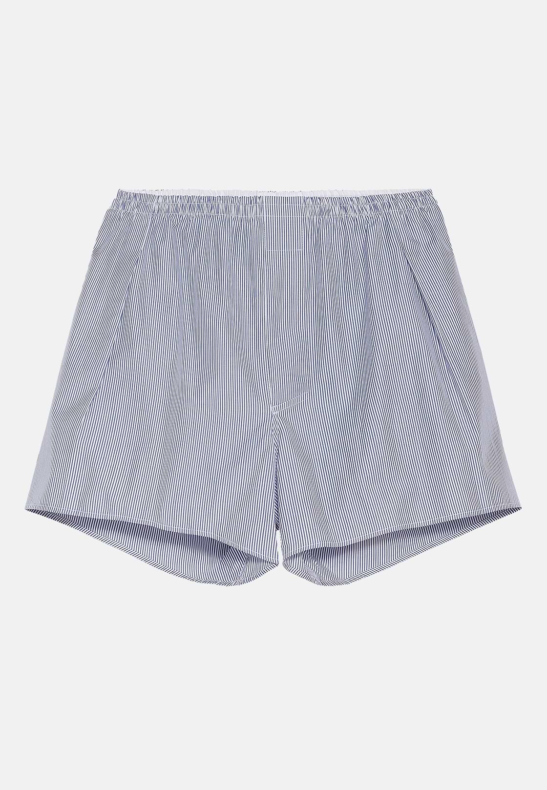 Blau Gestreifte Boxershorts Aus Baumwolle, Streifen blau, hi-res