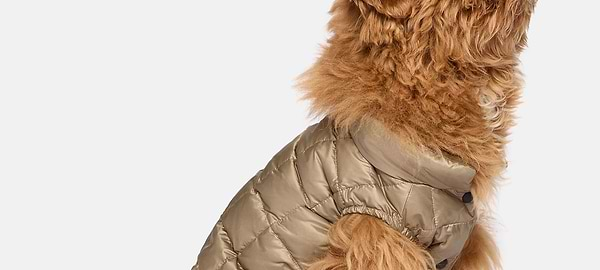 Bomber Pour Chien En Tissu Technique En Plume D'Oie, Beige, hi-res