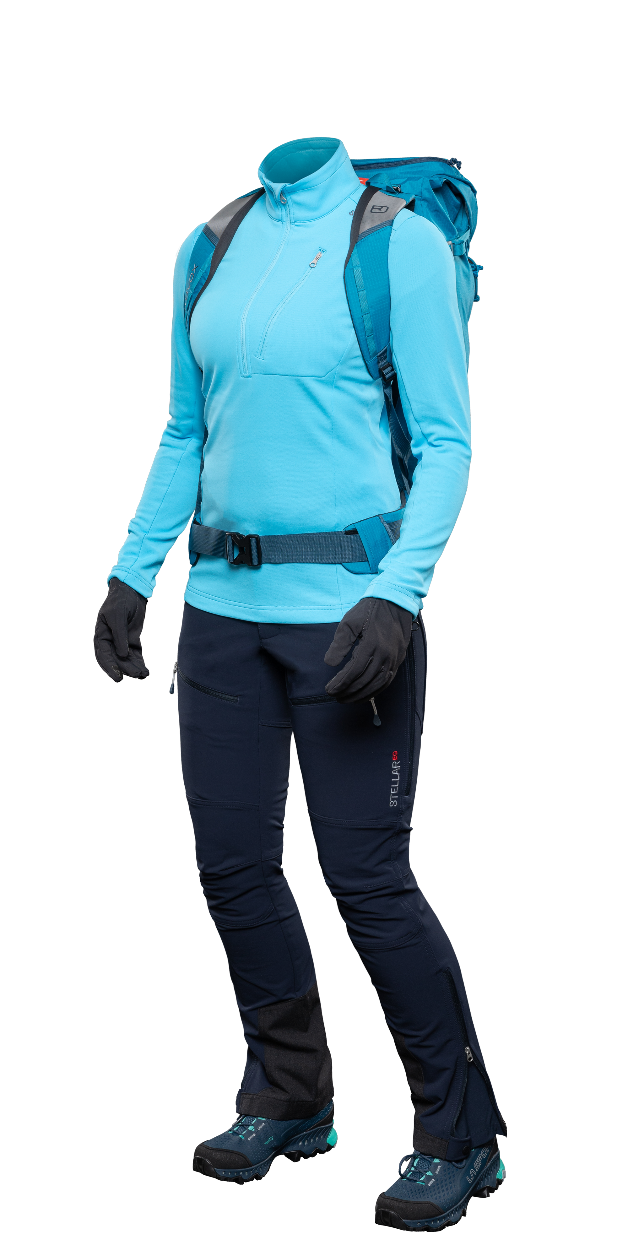 The Stellar System Thumbnail