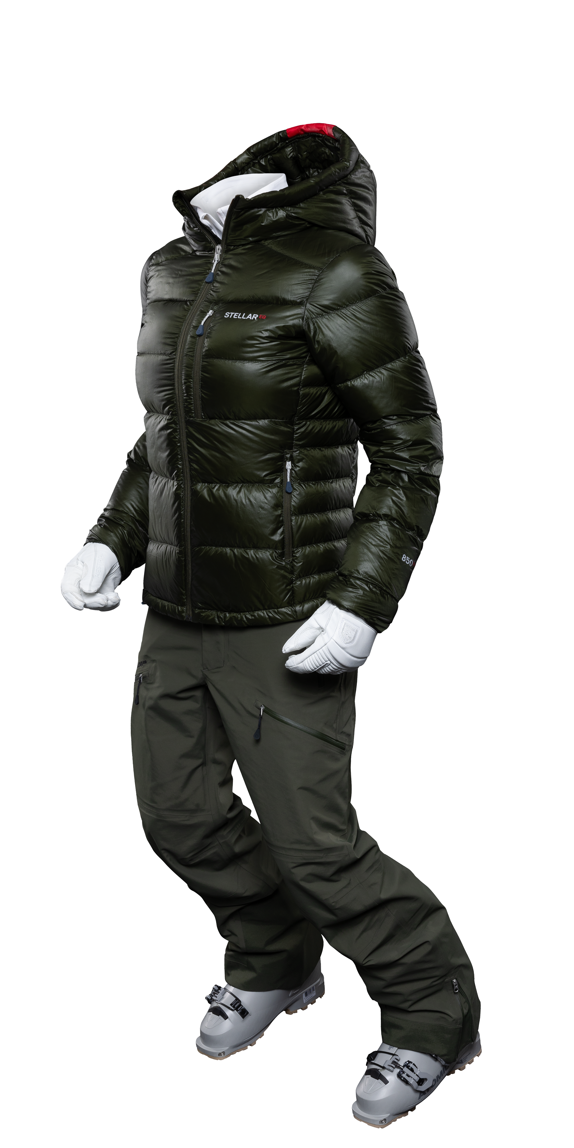 The [OLIVE] Stellar System 2.0 Thumbnail