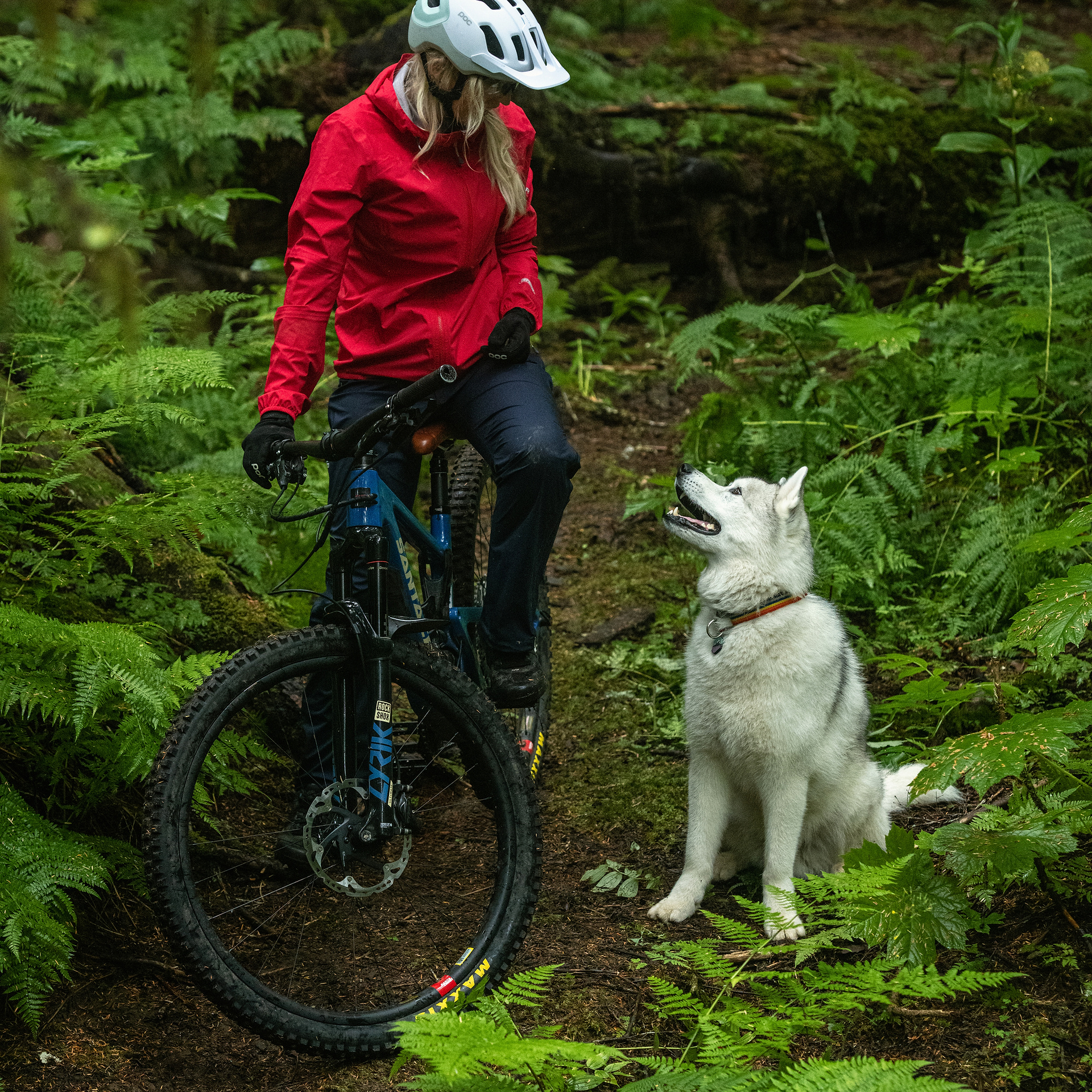 W Ultralight Shell Pants