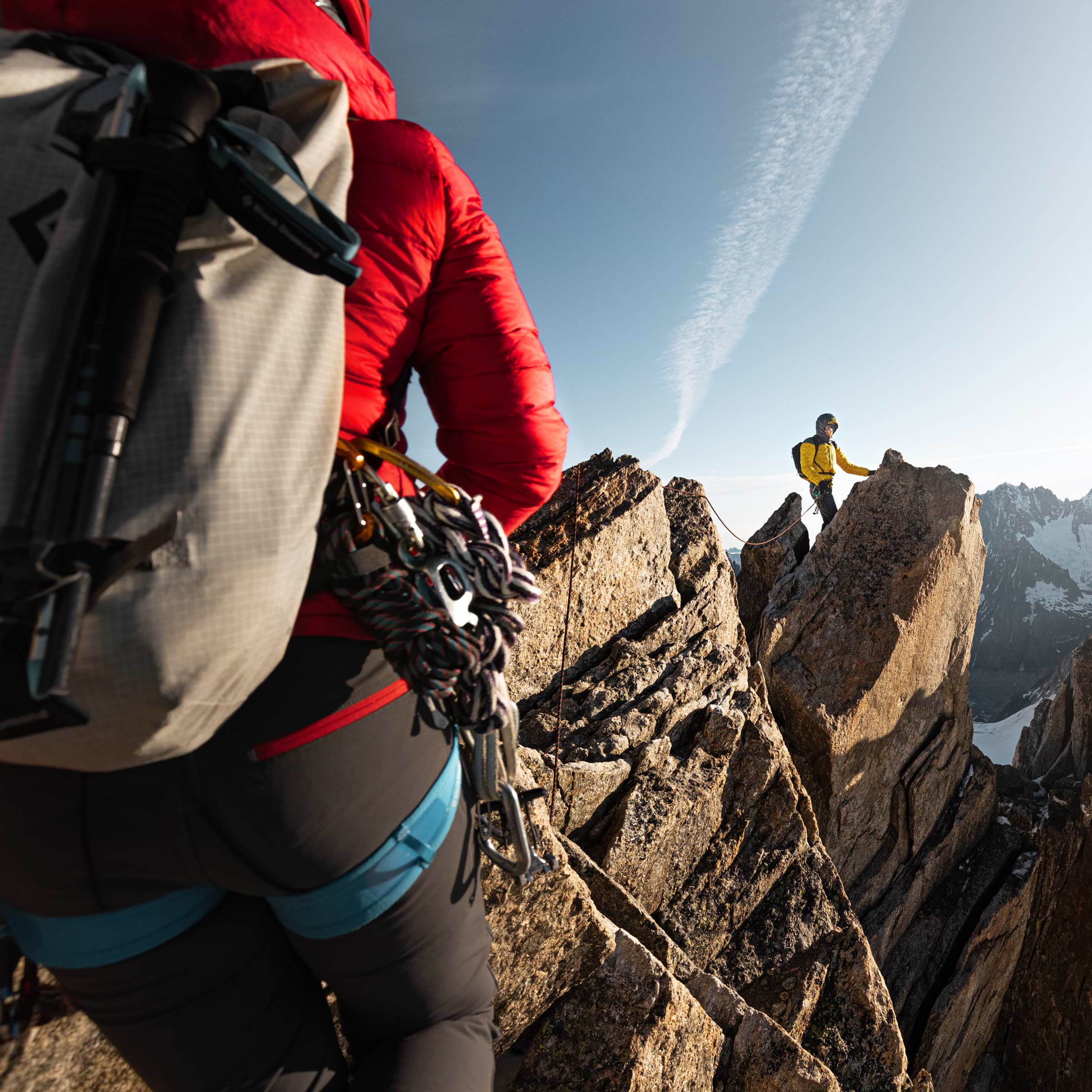 SALSATION サルセーション Polso Pant ダークグリーン S 2025年最新】salsation サルセーションの人気アイテム - メルカリ