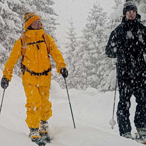 Skitouring and skiing in Stellar Shell 2.0.