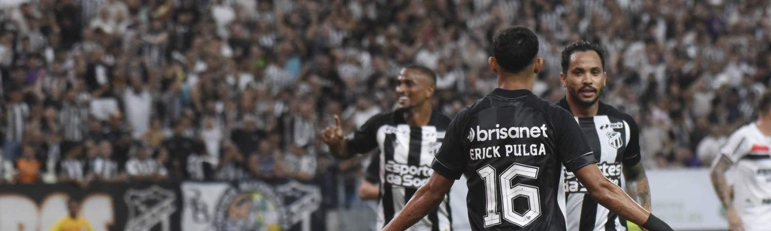 Botafogo vs Palmeiras