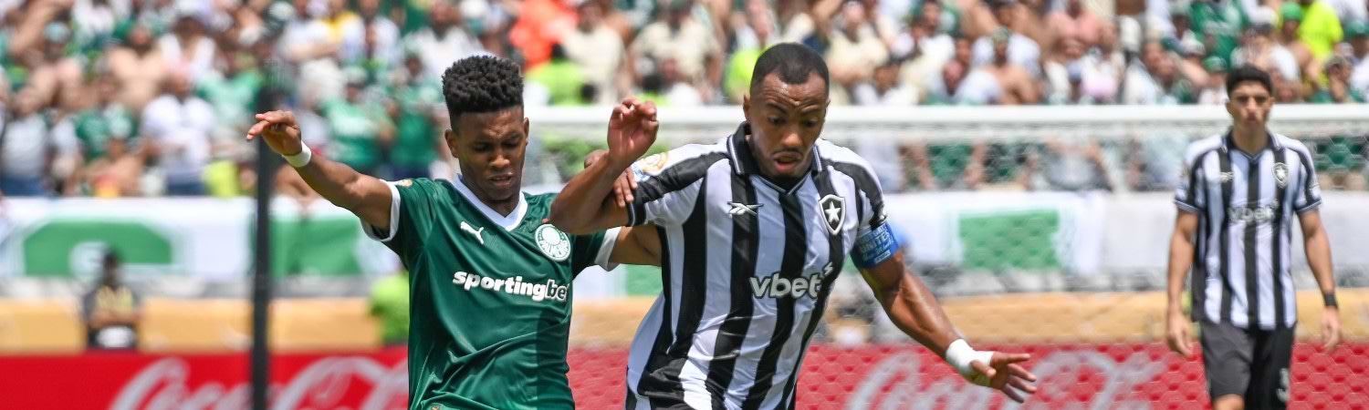 Palmeiras-Botafogo