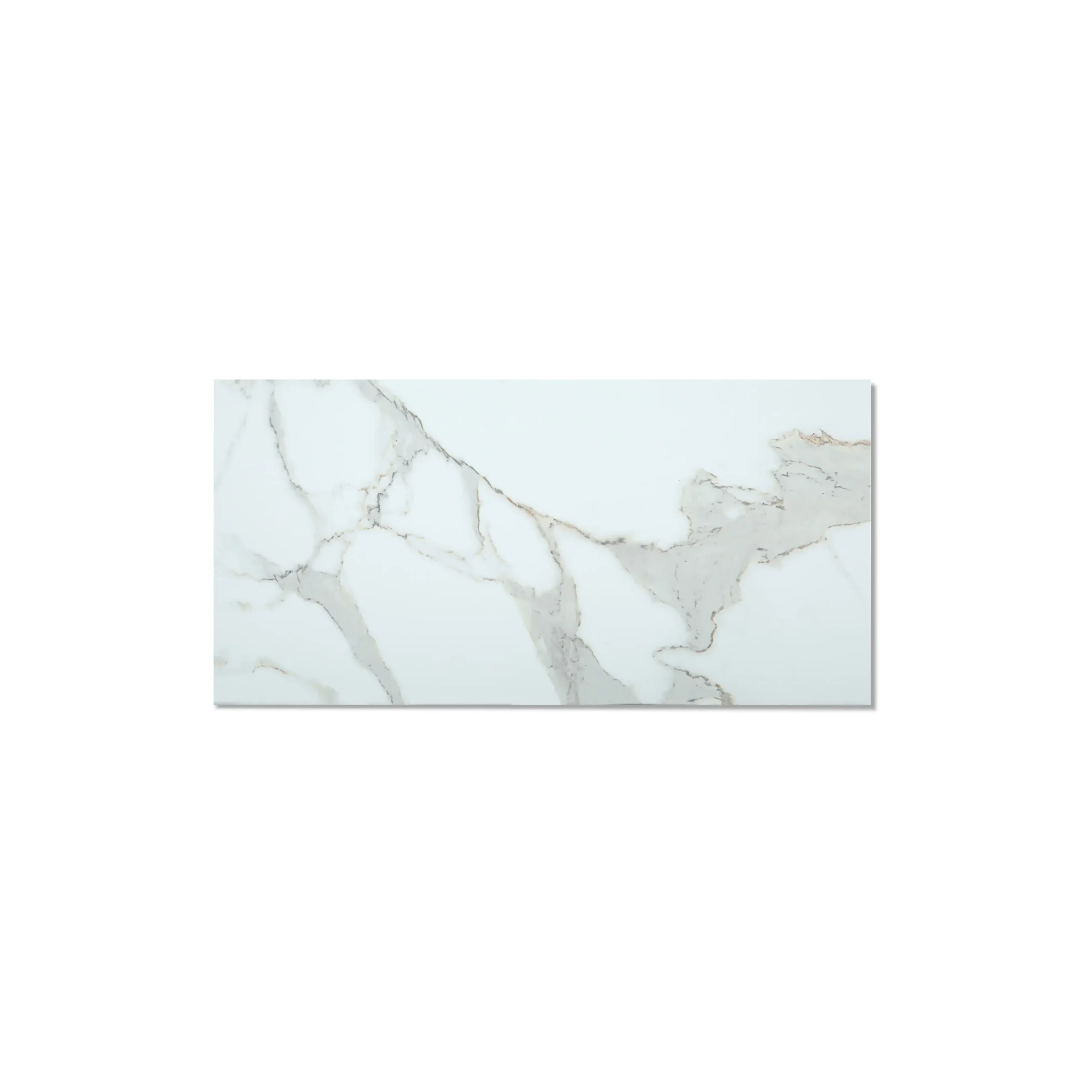 Carrara Ultrawhite 12x24 01