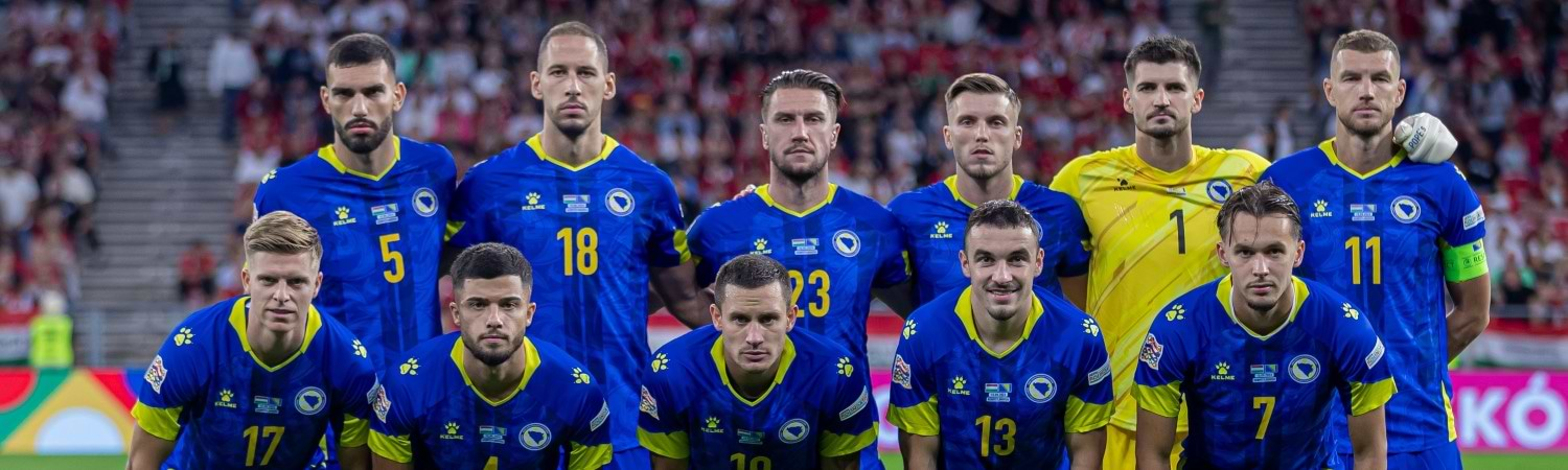 Alemania vs Bosnia