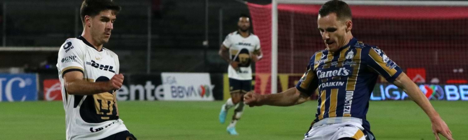 partido de los pumas