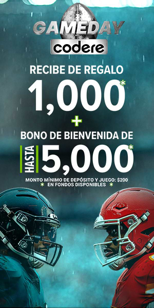 SEO-300X600 superbowl