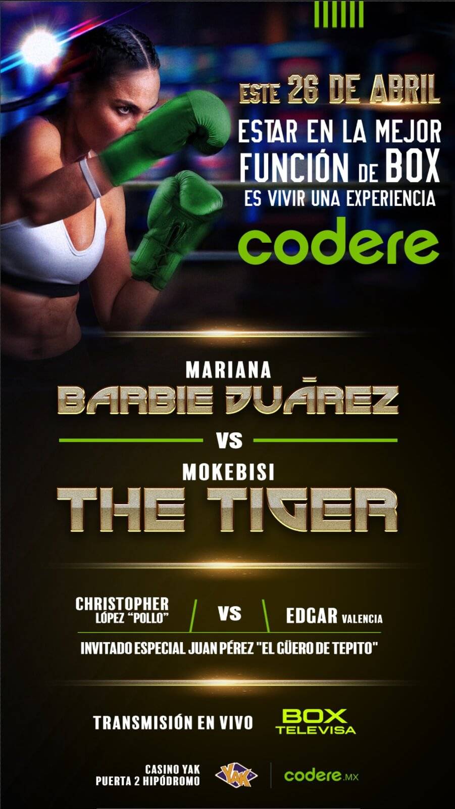 funcion box codere 2024