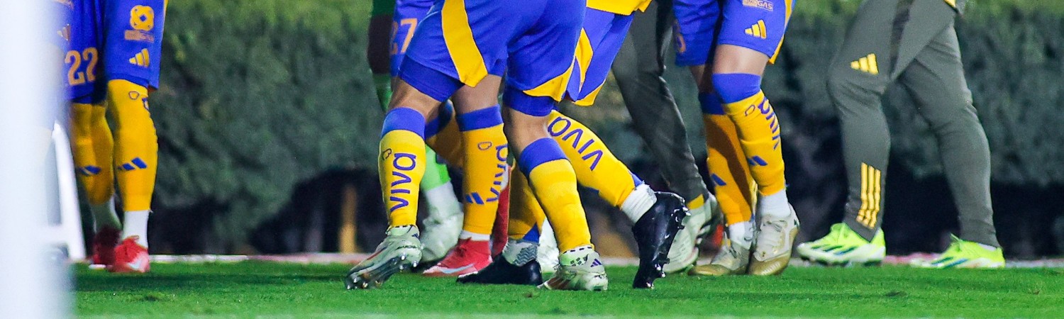 Tigres vs. Toluca