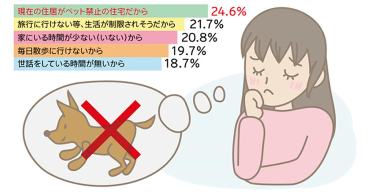 ペット ショップ を 飼い たい 理由