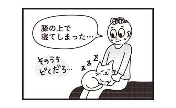 ペットあるあるマンガ③　「ひたすら眠り続ける。」